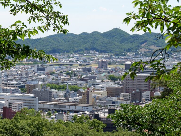 桐生市街地と茶臼山丘陵