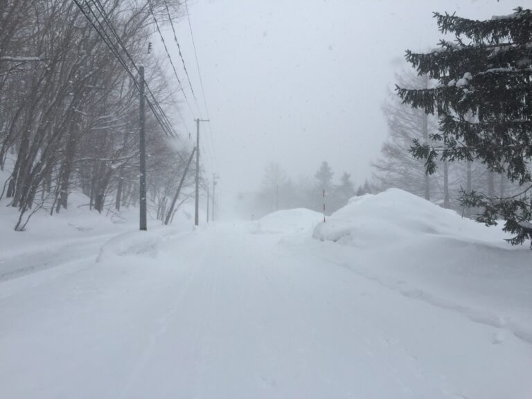 Blizzard_and_Road_in_Japan_20160217