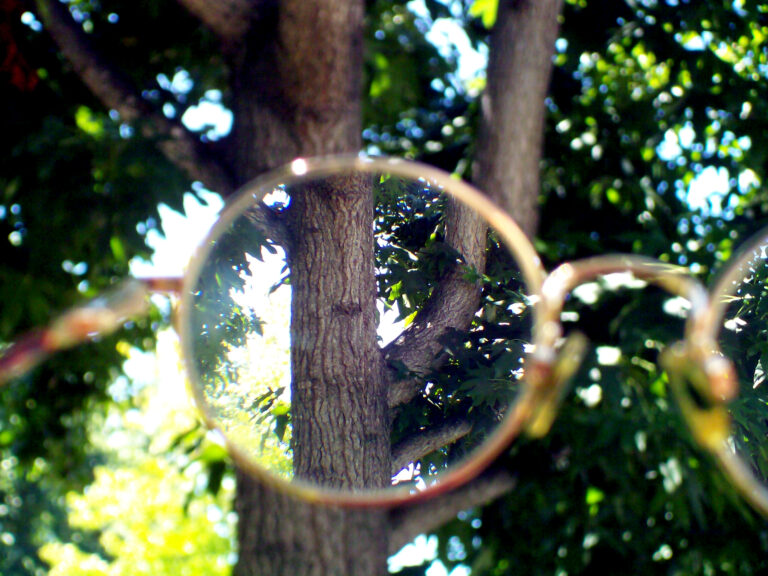GlassesMyopia