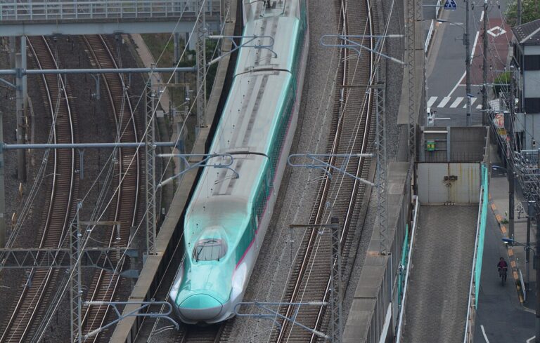 Tohoku_Shinkansen_and_Tohoku_Main_Line_viewed_from_Hoku_Topia_2019-05-04_DSC_7259_(48576562612)