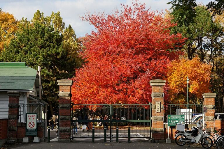 131103_Hokkaido_University_Sapporo_Hokkaido_Japan01s3