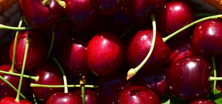cherries_basket_fruit_red_summer_sweet_cherry_fruits_garden-588835