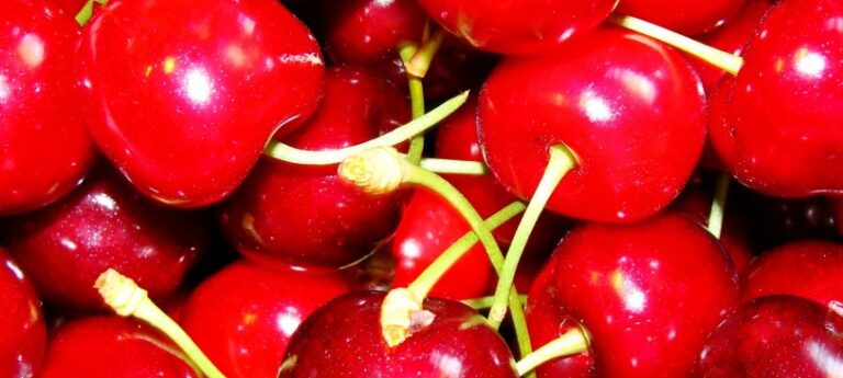 cherry_red_fruit_red_fruits_food-1025522