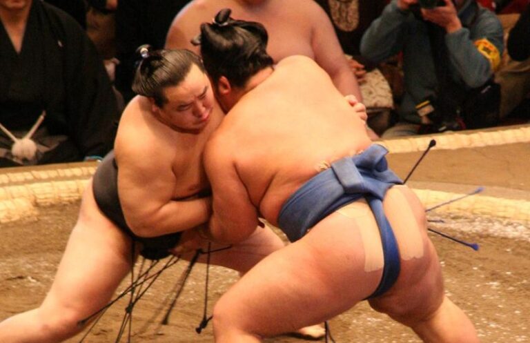 sumo