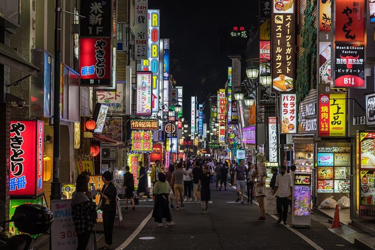 960px-Colorful_neon_street_signs_in_Kabukichō,_Shinjuku,_Tokyo