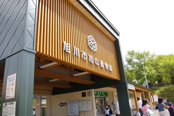 Animais do Zoológico de Asahiyama ganham blocos de gelo gigantes para aliviar o calor no verão japonês