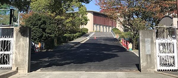 Universidade feminina no Japão aceitará estudantes trans a partir de 2030