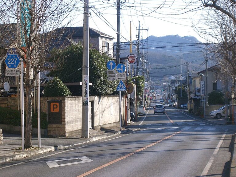 Gunma_prefectural_road_227_at_Kiryu_Honcho