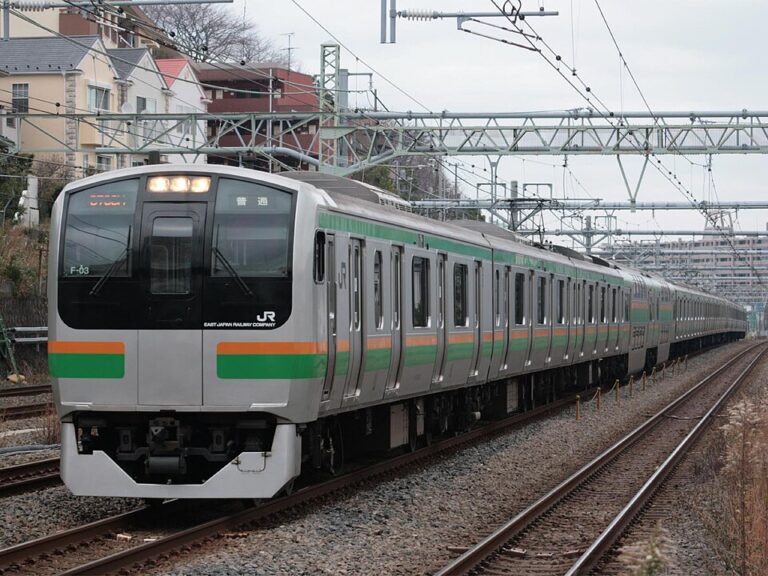 JR_East_E217_Series_Tokaido_Main_Line_version