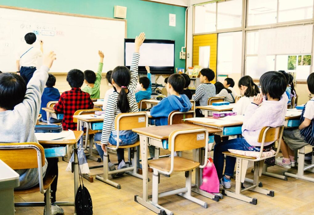 Após ataque fatal de urso em Hokkaido, escolas reforçam segurança e pais acompanham alunos