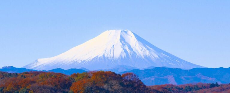 pexels-pixabay-209798