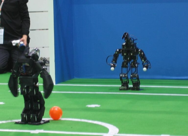 Robocuphumanoid