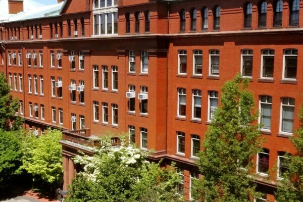 Harvard perde bilhões em verbas federais e pesquisa científica entra em colapso