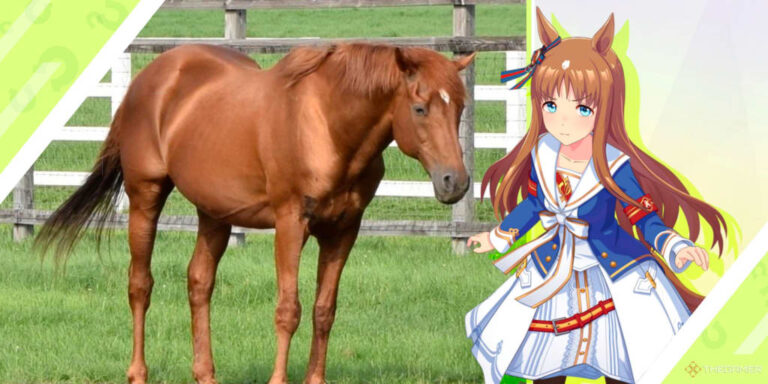 grass wonder