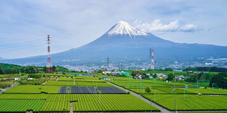 japan agriculture