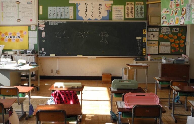Barata é encontrada em refeição escolar no Japão e levanta alerta sobre higiene