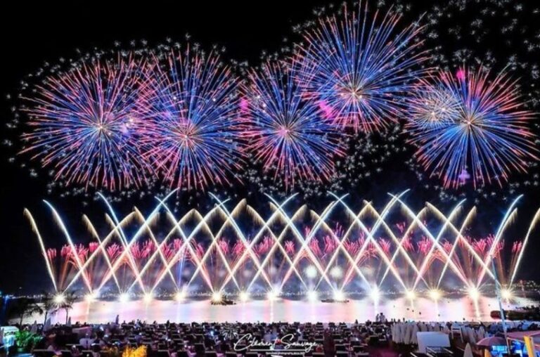 Premio fogos de artificio cannes - shizuoka 2