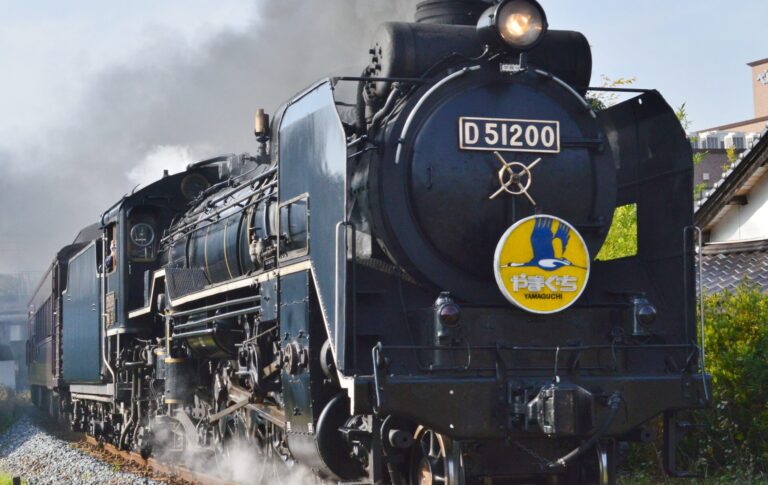 SL_Yamaguchi_(D51_200)_at_Waniishi_railroad_crossing-2