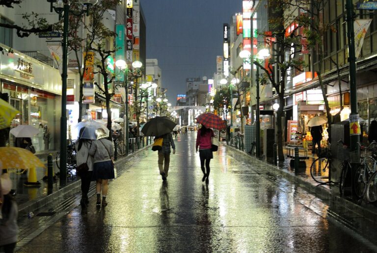 chuvas no japao