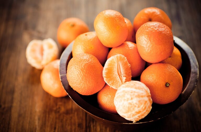 cultivo mikan - wakayama - japao 03