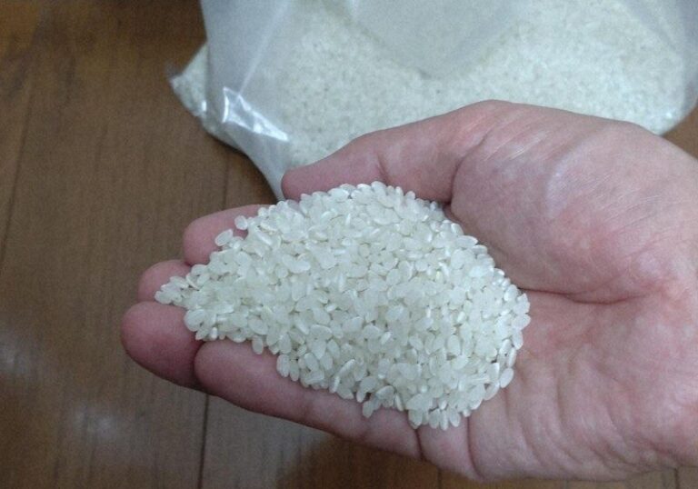 Arroz japones