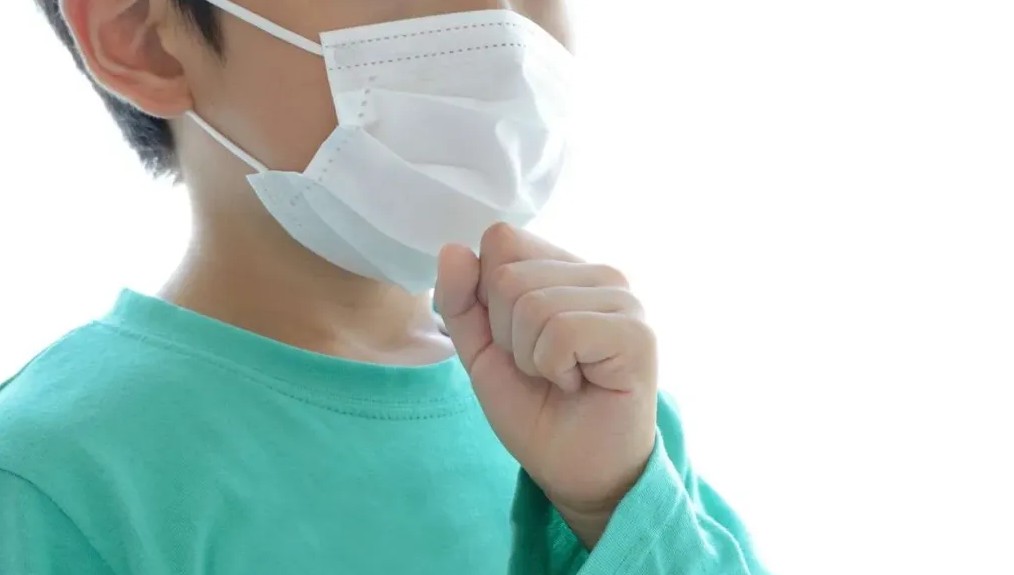 Japão enfrenta epidemia de coqueluche com alta taxa de resistência a antibióticos