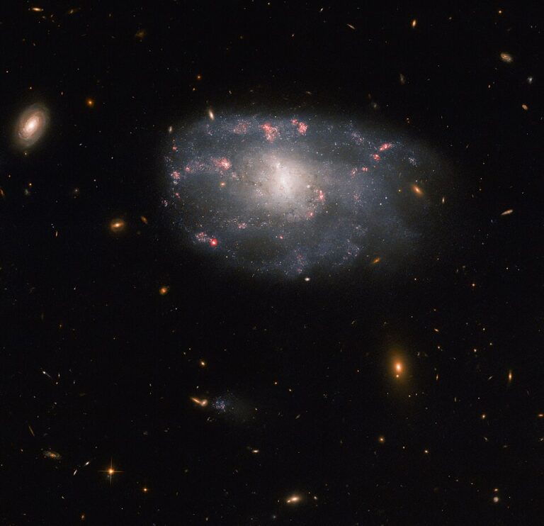 Hubble_spies_a_meandering_spiral_(wide_field)_(potw2310b)