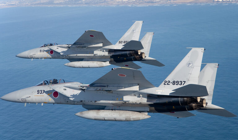 Mitsubishi_F-15_(10)