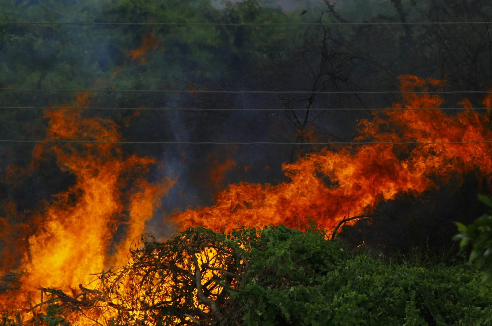 Incêndio florestal atinge Monte Myogi, ponto turístico em Gunma, no Japão
