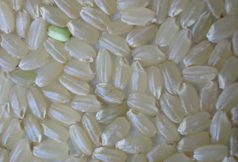 Importação privada de arroz no Japão bate recorde em 2025