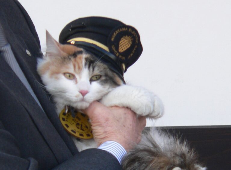 Stationmaster_NITAMA_20110105