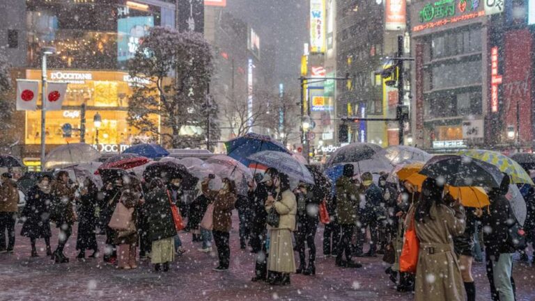 neve tokyo