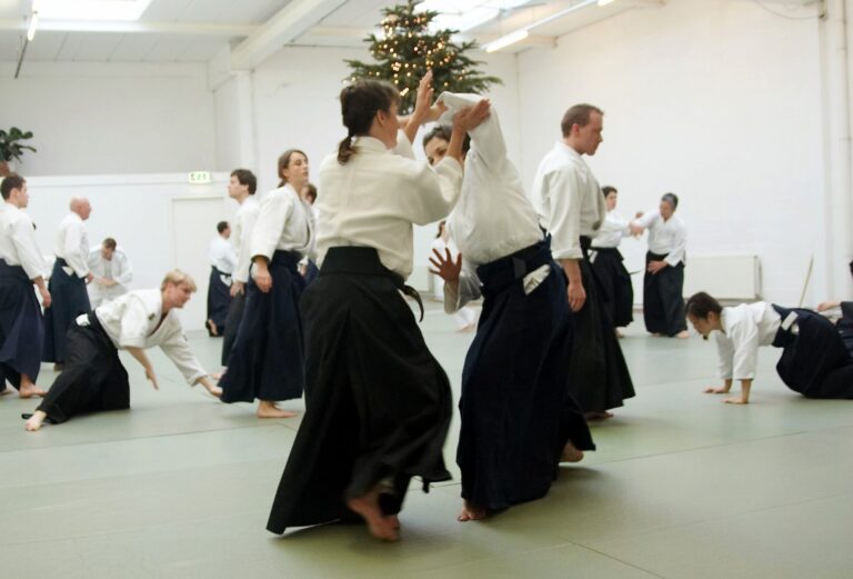Aikido_training_02