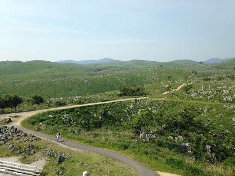 Akiyoshi_Plateau_from_Akiyoshidai_Karst_Observation_Deck_(north)