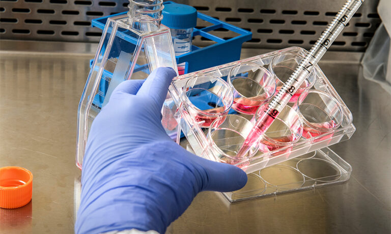 Scientist removes cell growth medium from a 6–well plate in pr