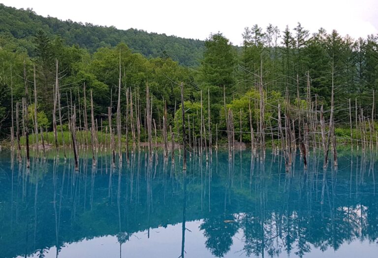 Blue_Pond,_Hokkaido_(48255829797)