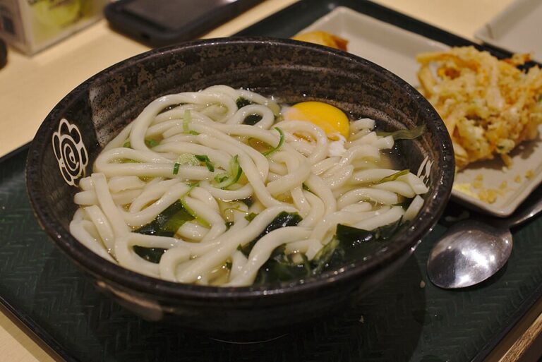 Tokyo_Udon_Noodles_With_Egg
