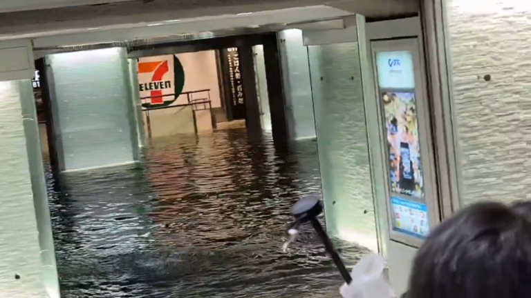 Captura de Tela (4018)
