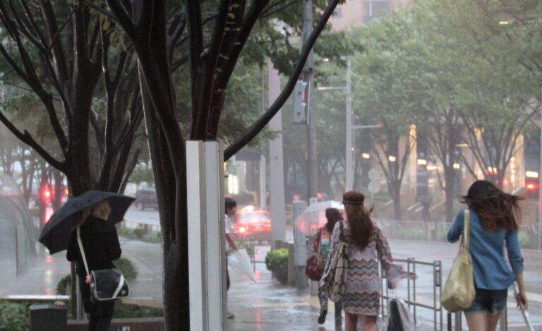 Passing_Typhoon_Roke_in_Tokyo_II